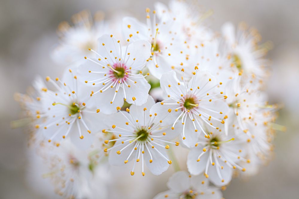 Фотография автора Stanislav Yendrek