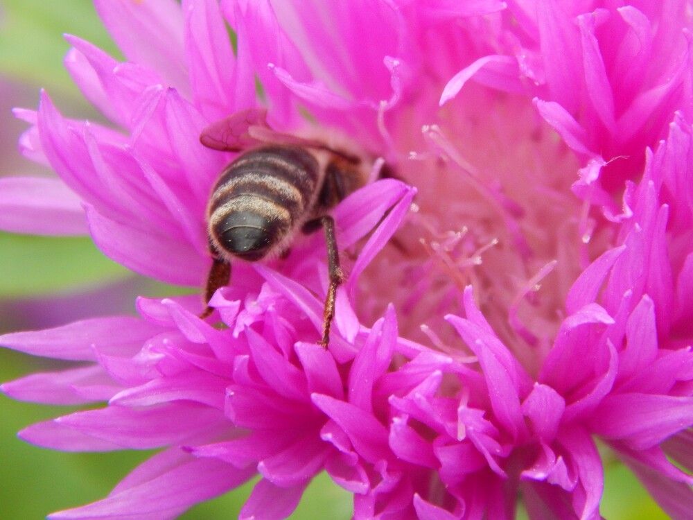 Photograph by Ирина Самойленко