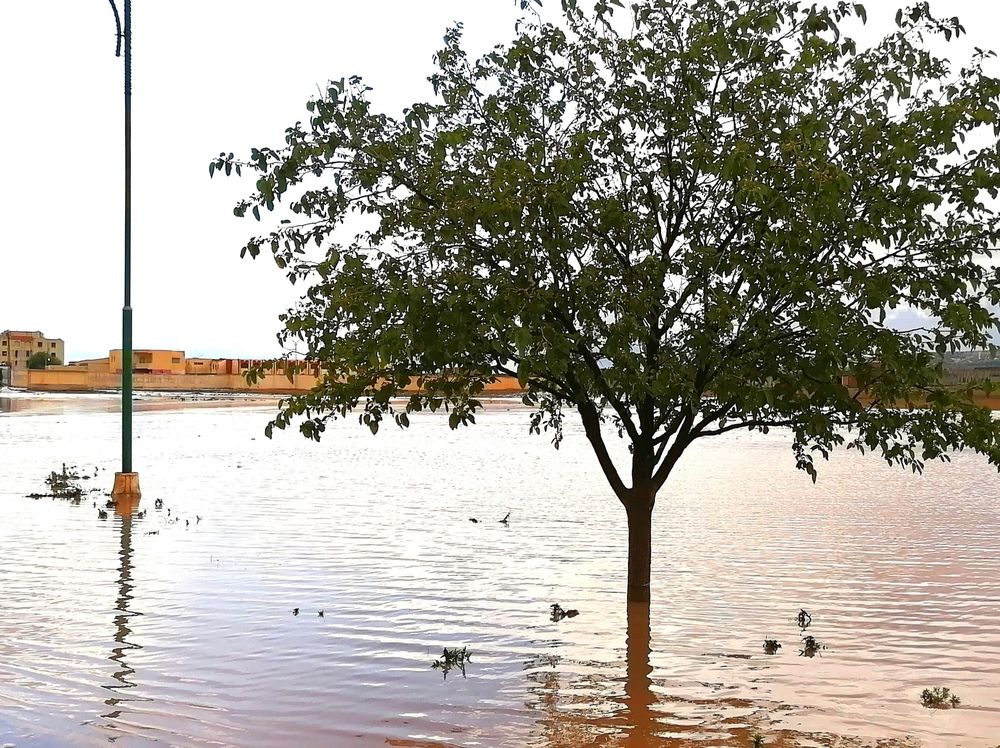 Photograph by Azzeddine Memmou