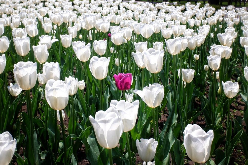 Photograph by Зорин Миша