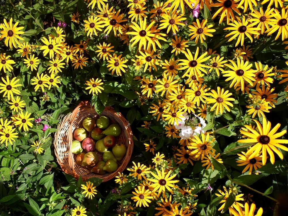 Photograph by Зорин Миша