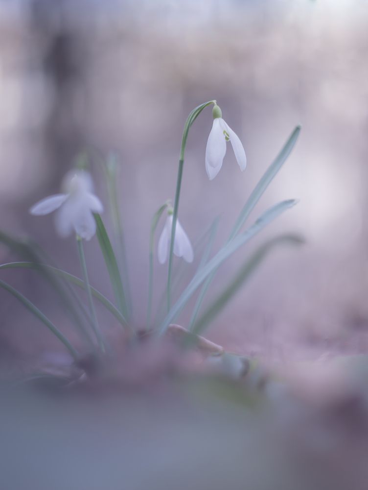 Фотография автора Обидина Мария
