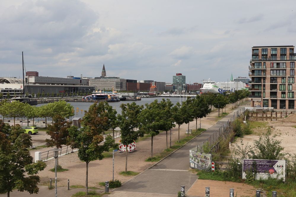 Photograph by Елена Симонова