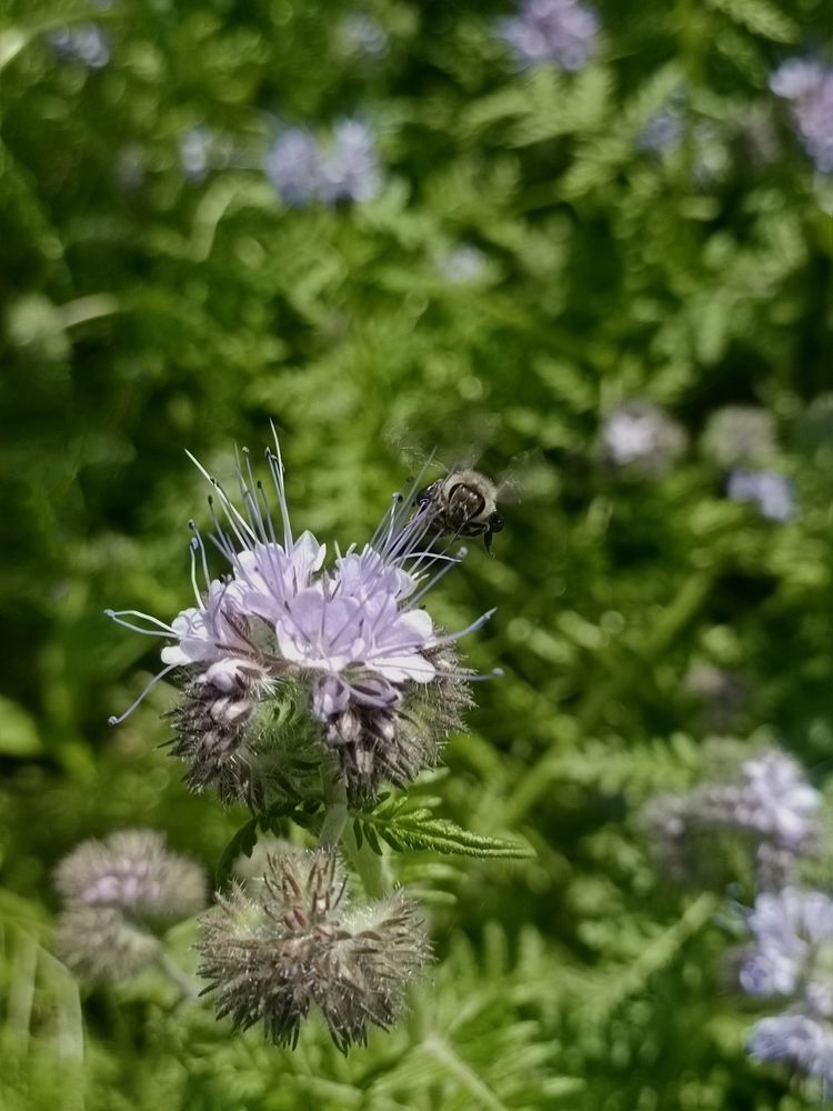 Photograph by Елена Пархоменко