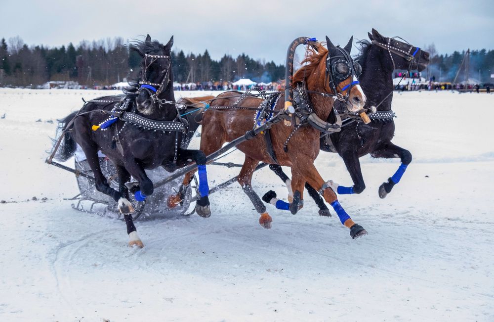 Фотография автора Наталья Липовская