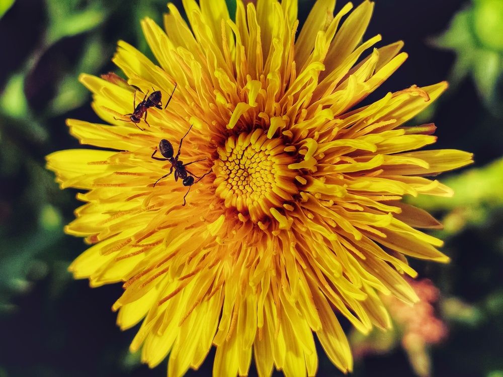 Photograph by Мария Смирнова