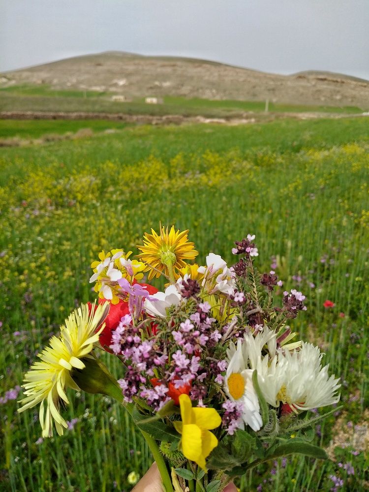 Photograph by Azzeddine Memmou