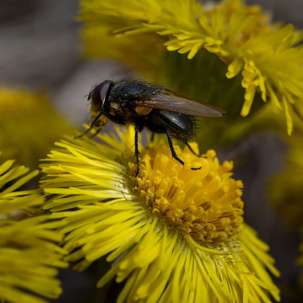 Photograph by Анна Стрелковская