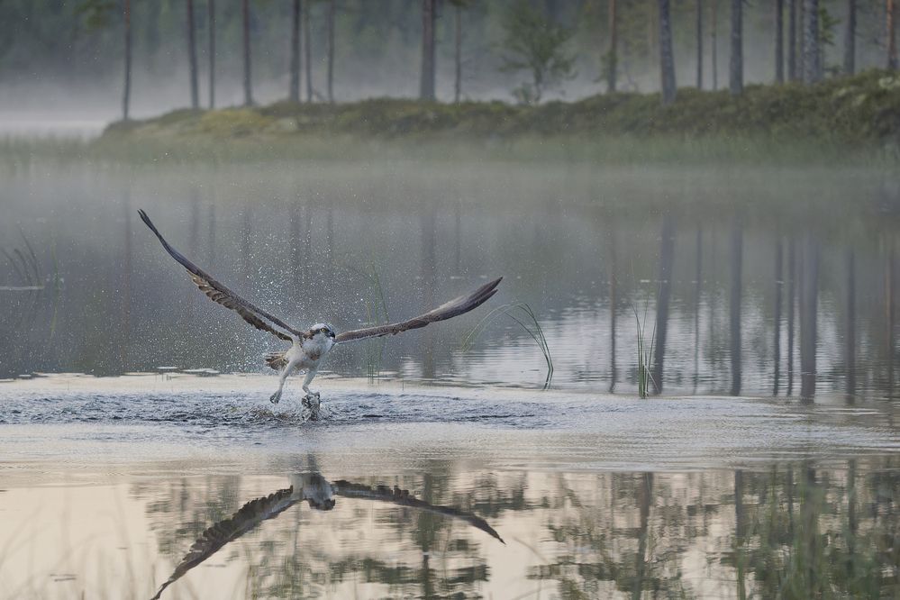 Photograph by Jørgen Hovde