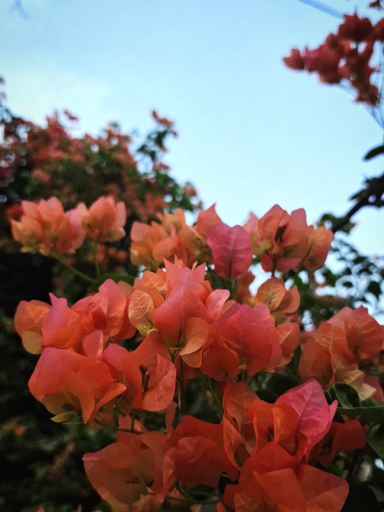 Photograph by Abhishek Chauhan