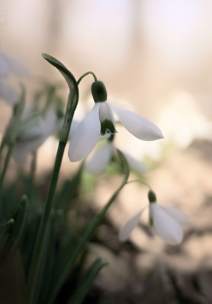 Photograph by Искандар Газизов