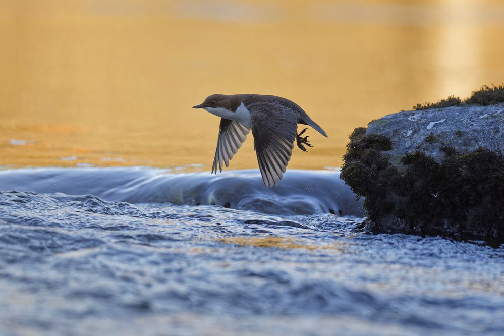 Photograph by Jørgen Hovde