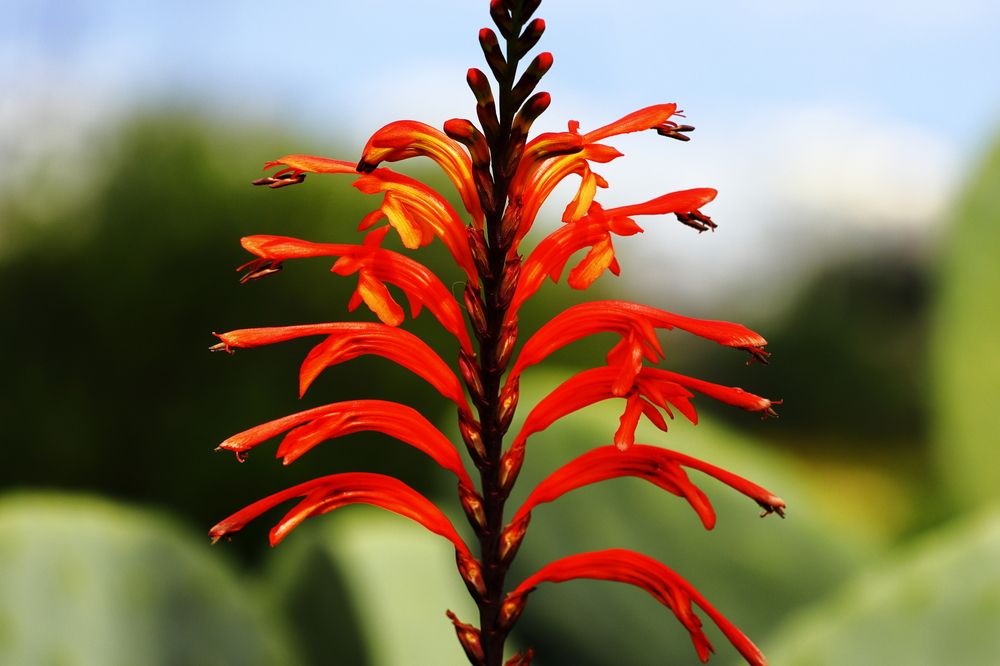 Photograph by Ernest Spiteri Gonzi