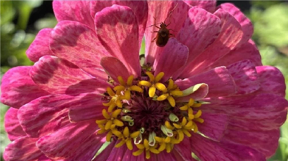 Photograph by Михаил Шевцов