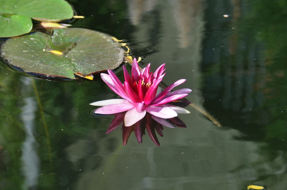 Photograph by Евгений Захаров