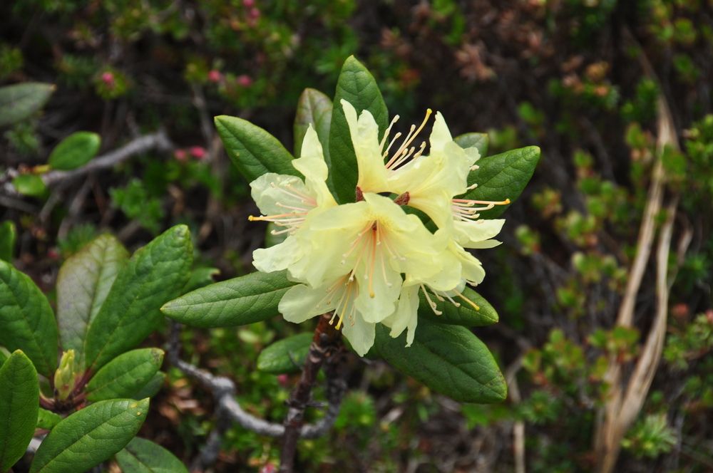 Photograph by Евгений Захаров