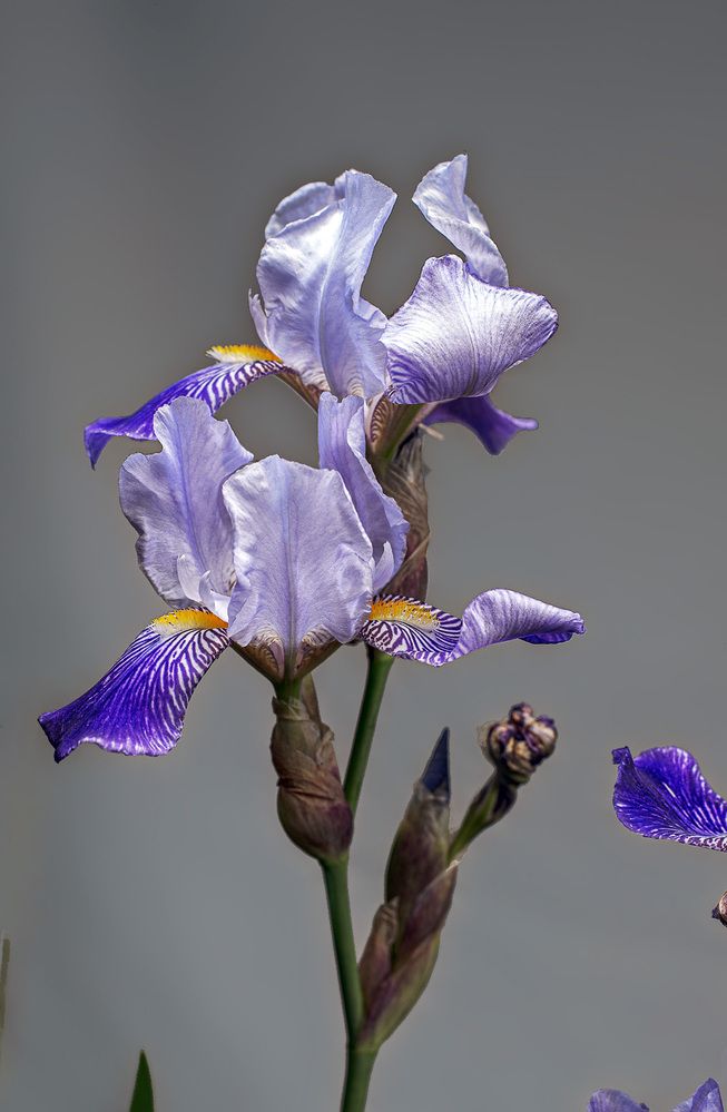 Photograph by Илья Чирков