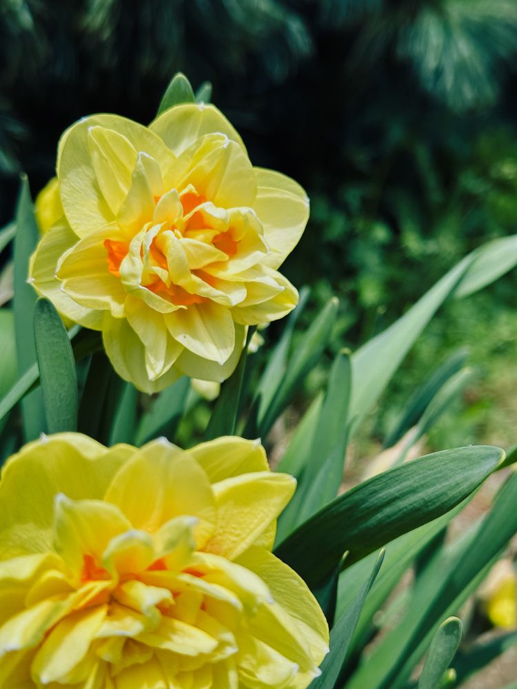 Photograph by Дина Чехова