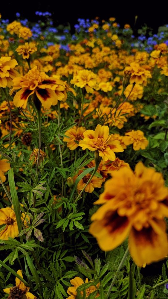 Photograph by Ольга и Андрей Трухан