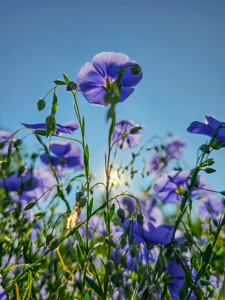 Photograph by Сергей Кесаев