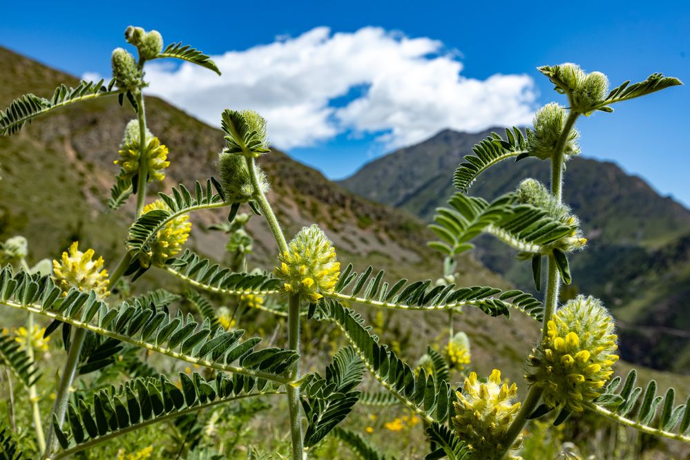 Photograph by Павлович Анатолий