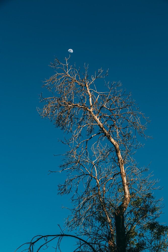 Photograph by Shahriyar Shybanie