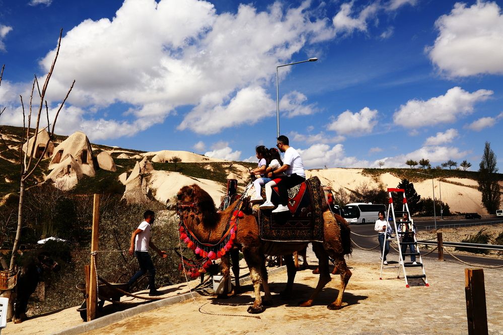 Photograph by Ernest Spiteri Gonzi