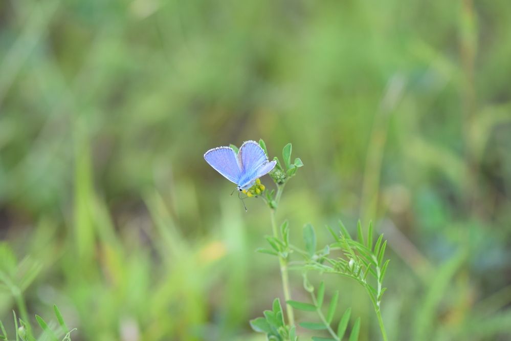 Photograph by Инна Голубева