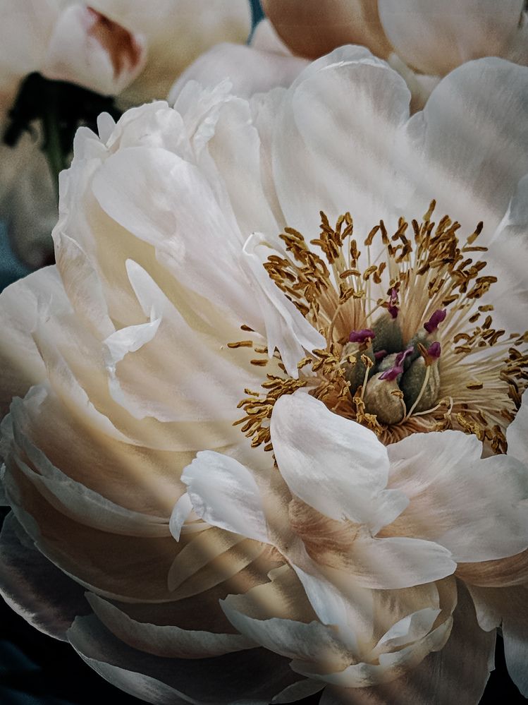 Photograph by Картунова Светлана