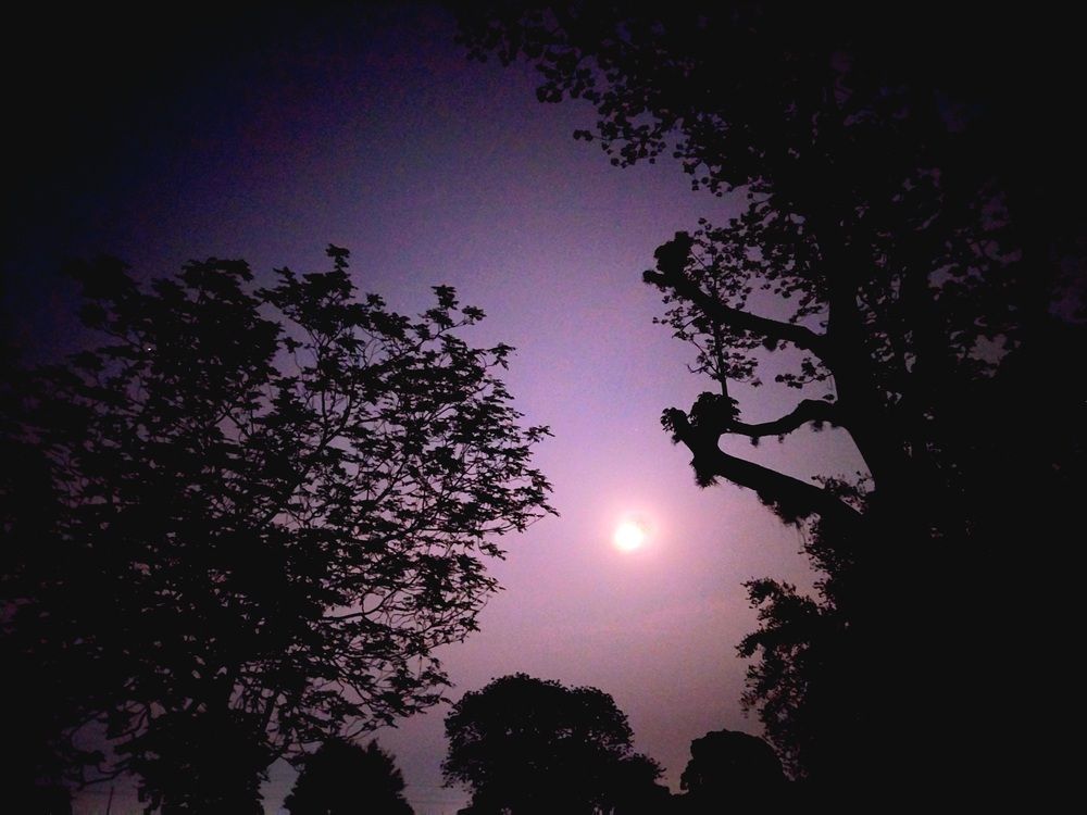 Photograph by Rahul Raman