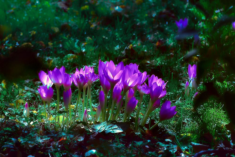 Photograph by Илья Чирков