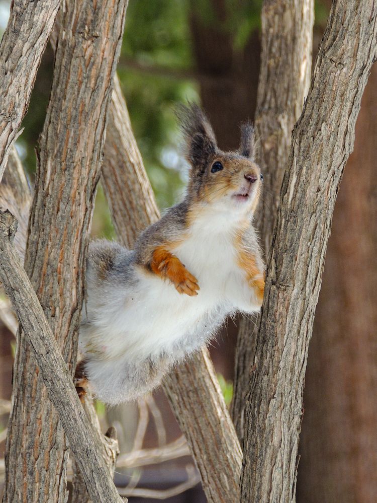 Photograph by Наталья Балабанова