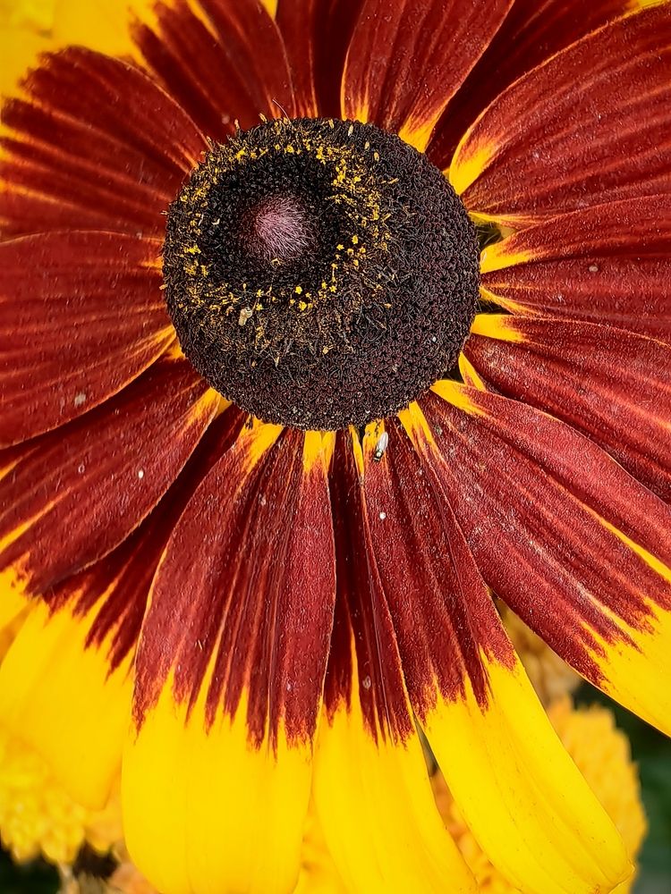 Photograph by Наталия Романова