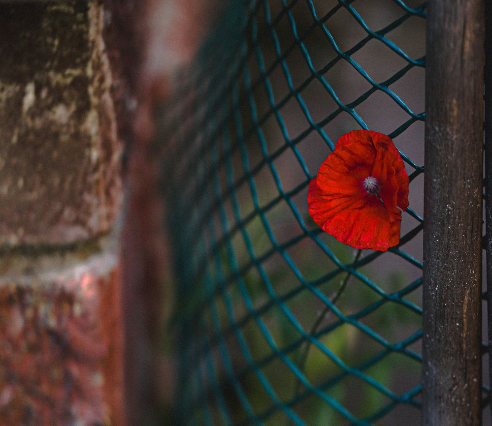 Photograph by Наталья Исаева