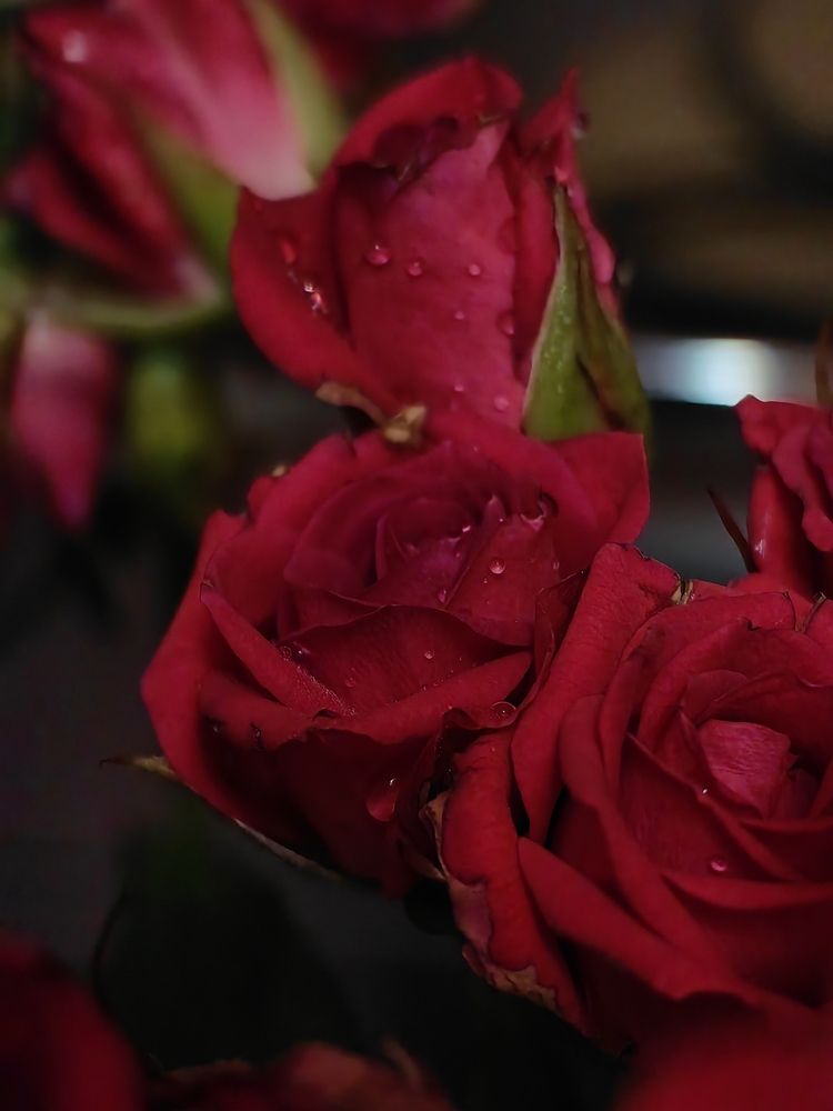 Photograph by Елена Акимова