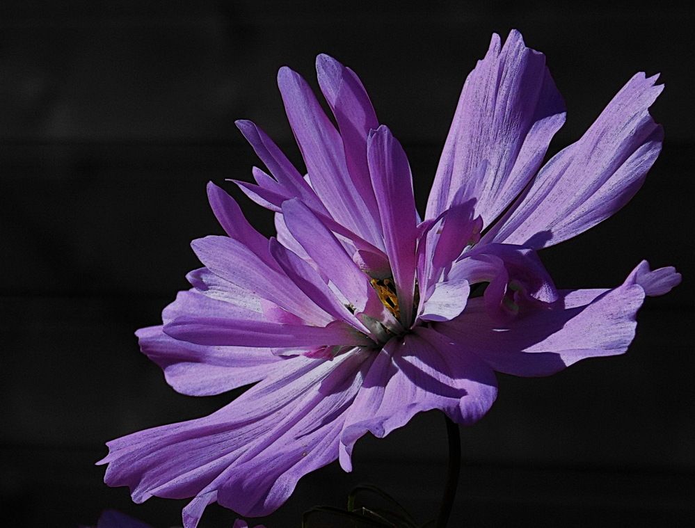 Photograph by Анастасия Смирнова