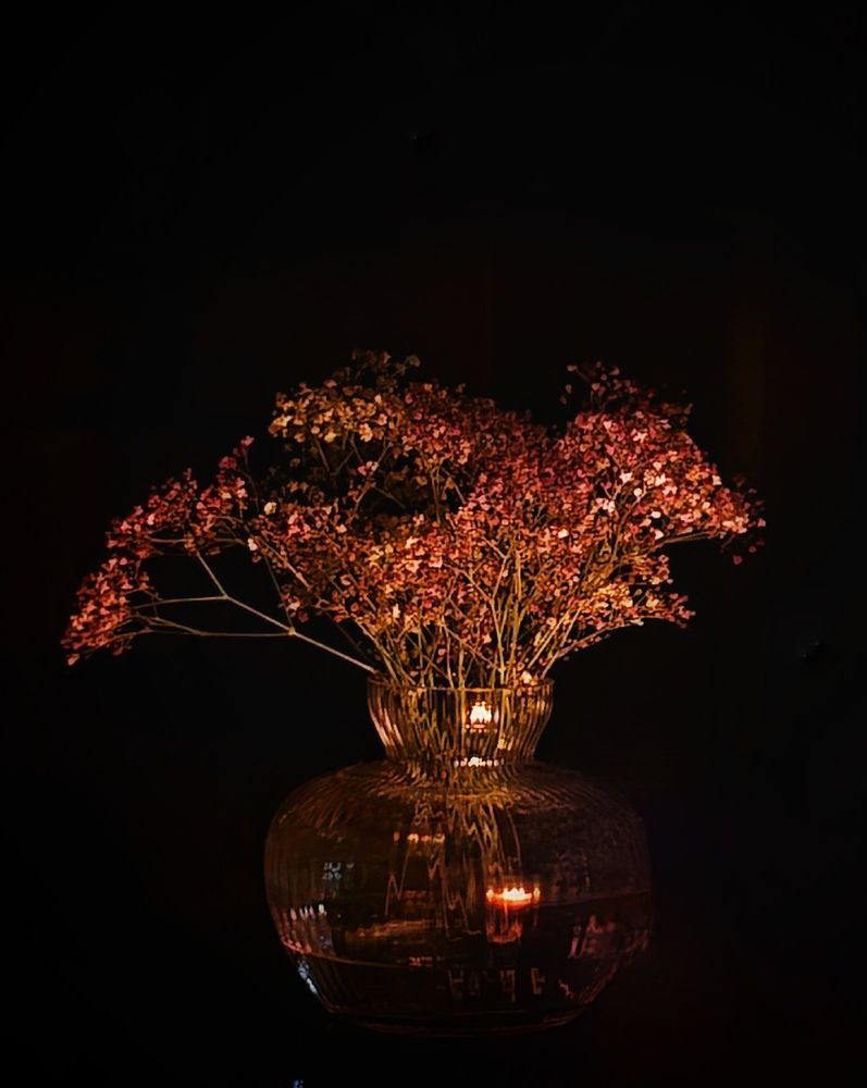 Photograph by Светлана