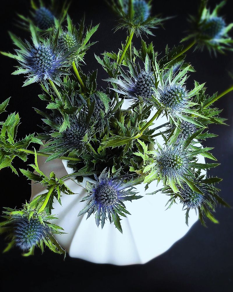 Photograph by Светлана