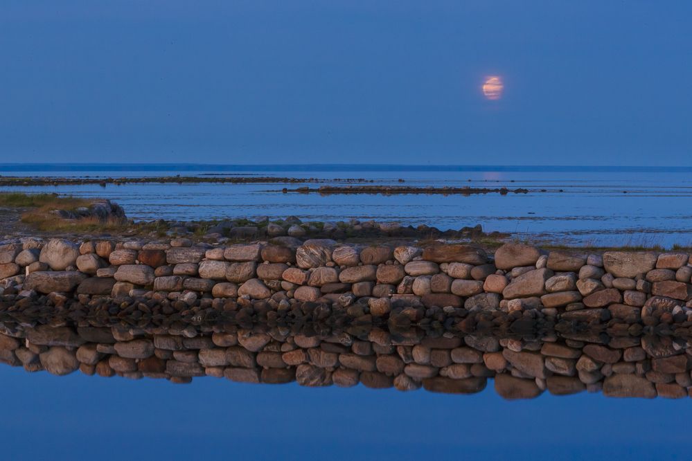 Photograph by Алексей Лазарев