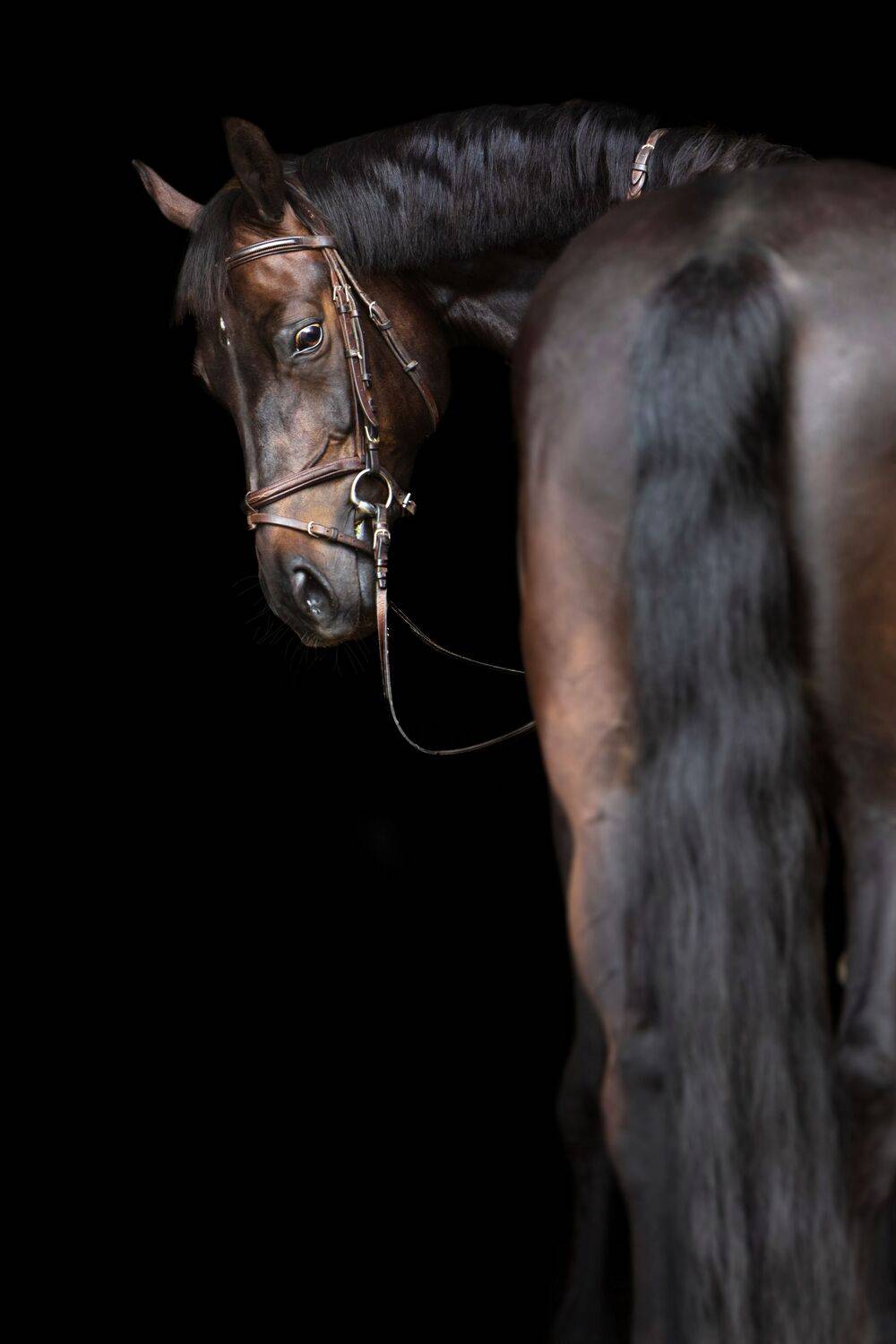 Фотография #12496412