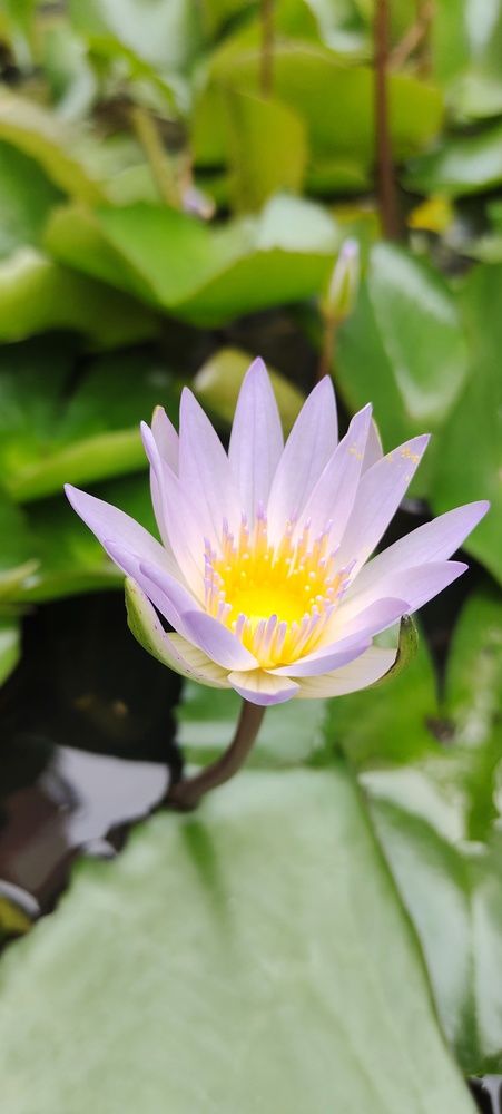 Photograph by Vishwa Trivedi