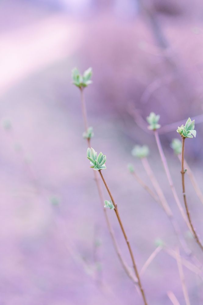 Photograph by Anna Katikova
