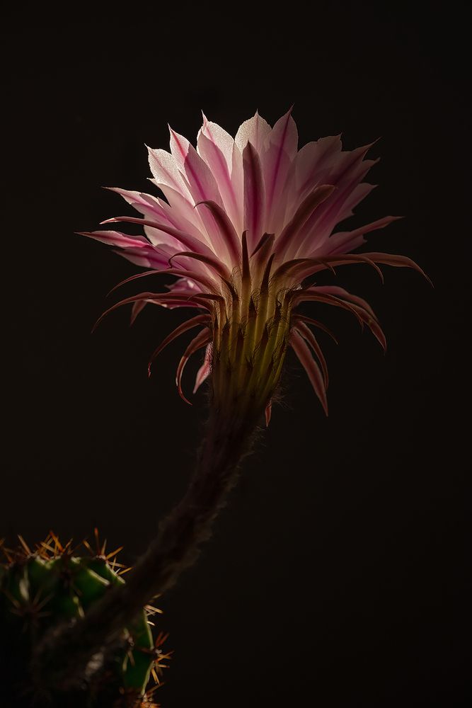 Photograph by Хаева Марина