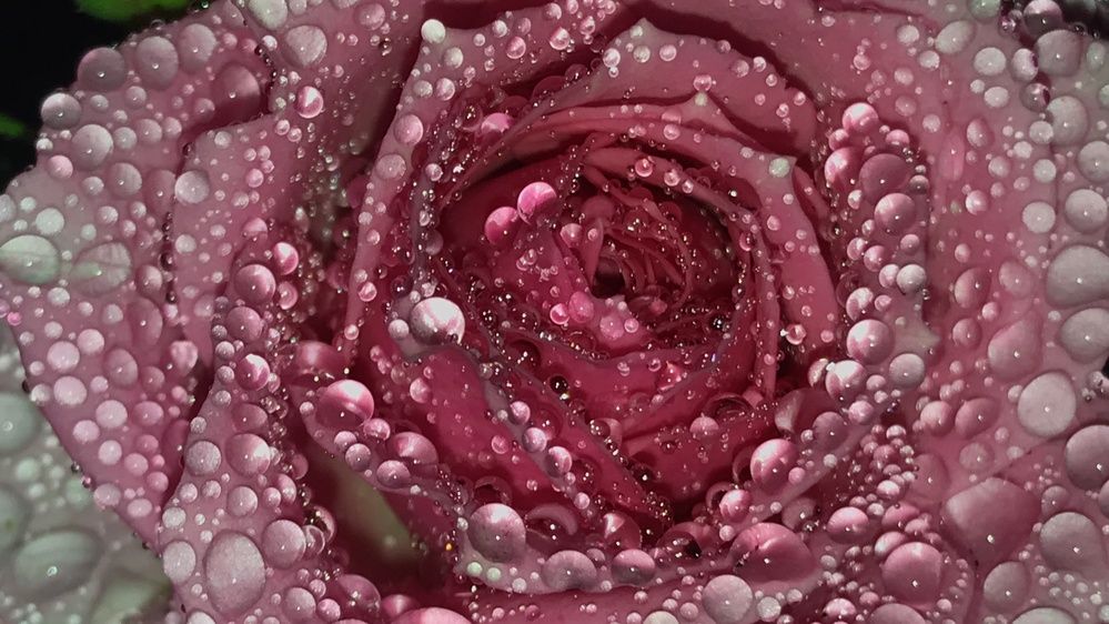 Photograph by Anastassia