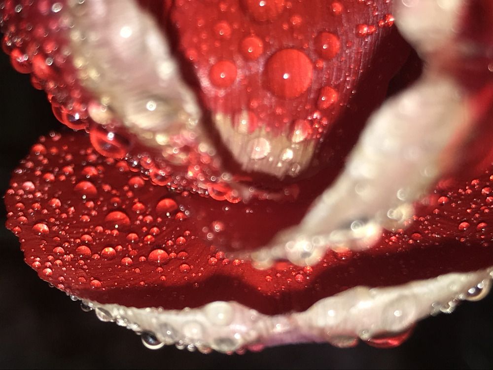 Photograph by Anastassia