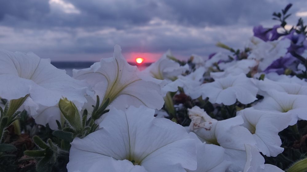 Photograph by Татьяна Гулакова