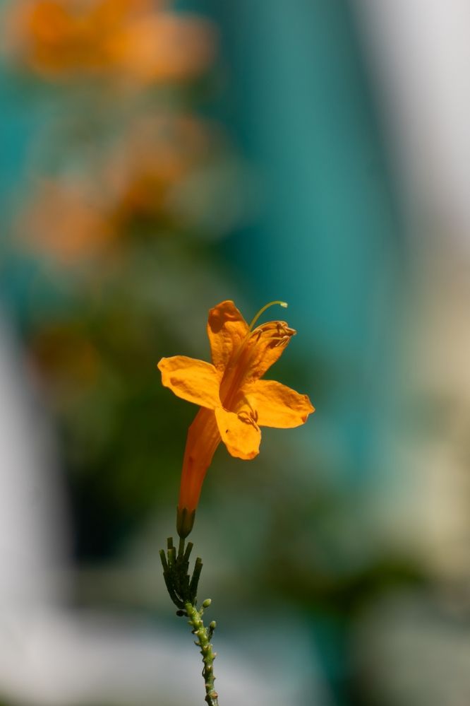 Photograph by Oxana Ukhlina