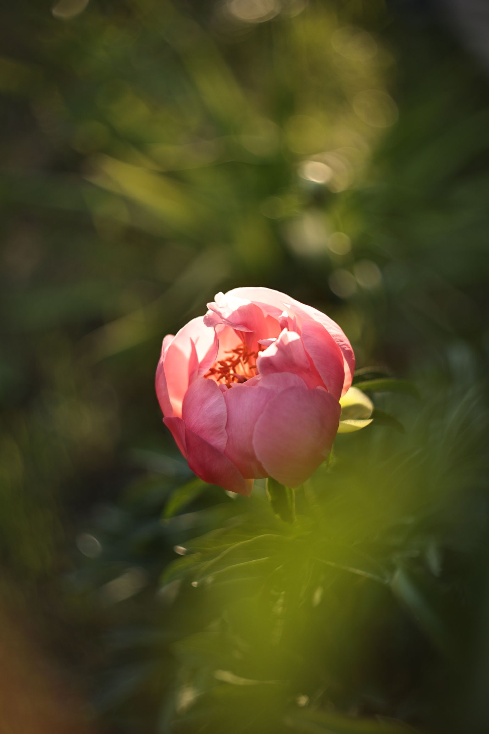 Photograph by Анна