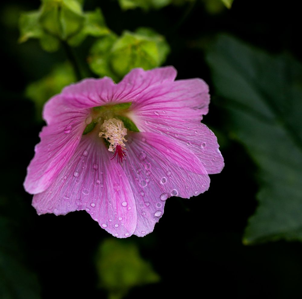 Photograph by Наталья Исаева