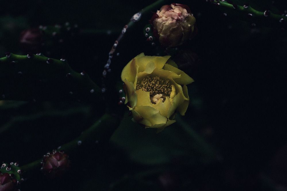 Фотография автора Gerun Ekaterina